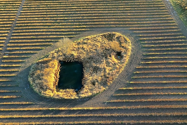 Drone weergave landbouw veld landschap