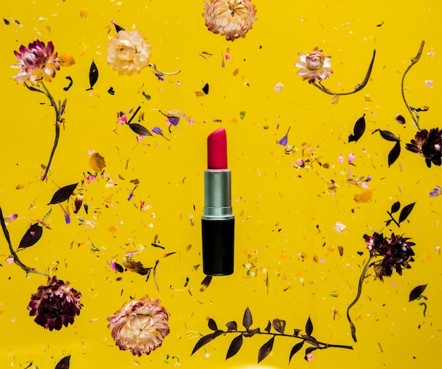 Droog bellis-kruid met bloemen en rode lippenstift op gele geïsoleerde achtergrond. zonder schaduwen