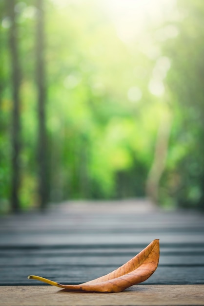 Droog blad en natuurlijk groen