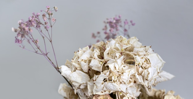 Droog boeket bloemen close-up