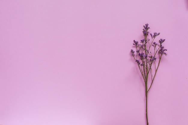 droog gedroogd zorgvuldig cosmetica vochtinbrengende plek voor tekst