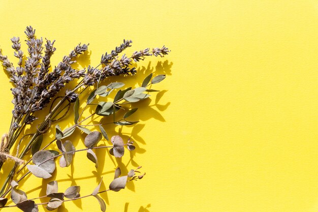 Droog geperst wilde bloemen en planten geïsoleerd op gele achtergrond.