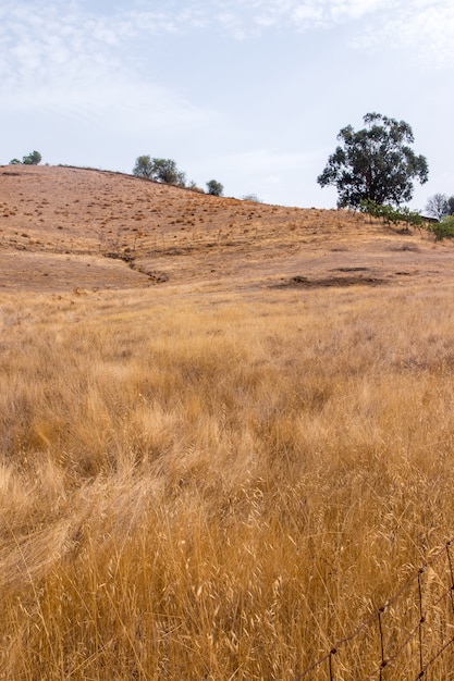 droog landschap in Martim-longo, Portugal