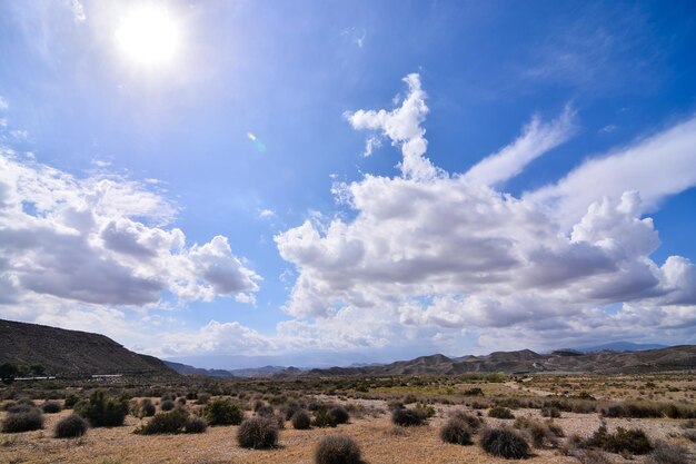 Droog woestijnlandschap