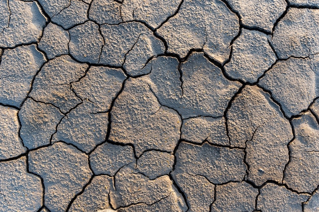 Droogte land zonder water textuur. Wereldwijde waterschaarste op de planeet. Opwarming van de aarde en broeikaseffect concept. Droogte, tarweoogst sterft.