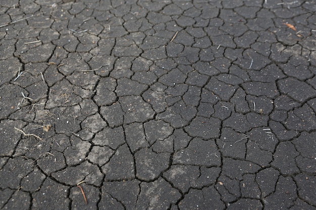 Droogte op de grond