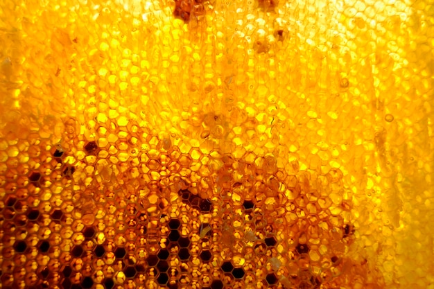 Drop of bee honey drip from hexagonal honeycombs filled with golden nectar Honeycombs summer composition consisting of drop natural honey drip on wax frame bee Drop of bee honey drip in honeycombs