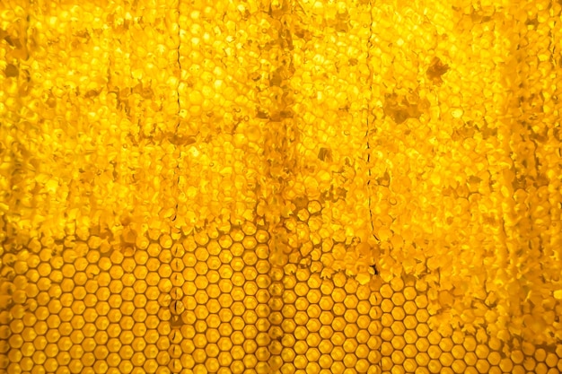Photo drop of bee honey drip from hexagonal honeycombs filled with golden nectar
