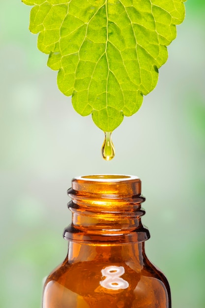 A drop of a medicinal plant falls into a medical bottle