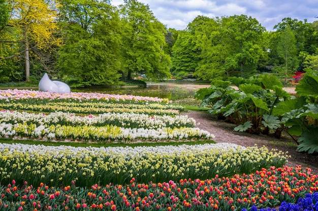 カラフルな水仙とチューリップの記念碑をドロップオランダのキューケンホフ公園リッセ