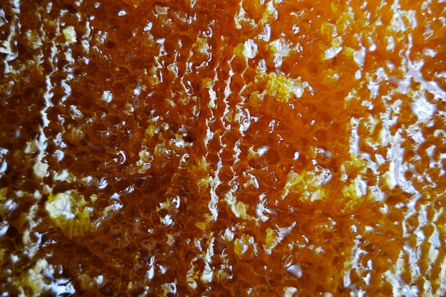 写真 黄金の蜜で満たされた六角形のハニカムからのミツバチの蜂蜜の滴の滴 ワックスフレーム蜂に滴の天然蜂蜜の滴からなるハニカム夏の組成物 ハニカム内の蜂蜜の滴の滴