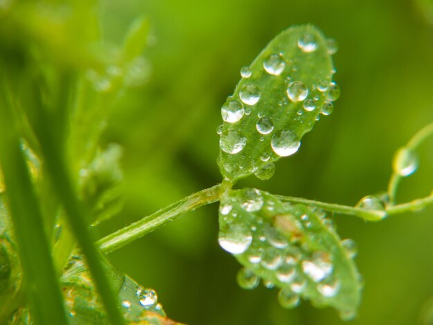 写真 ウォーターオート ロワール フランスの雫