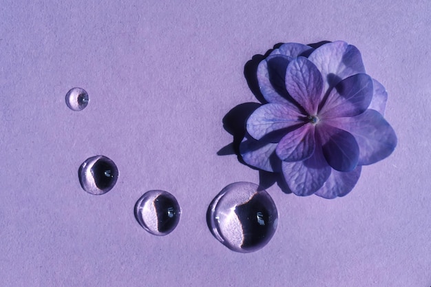 Foto una goccia di gel cosmetico trasparente con fiori su uno sfondo viola