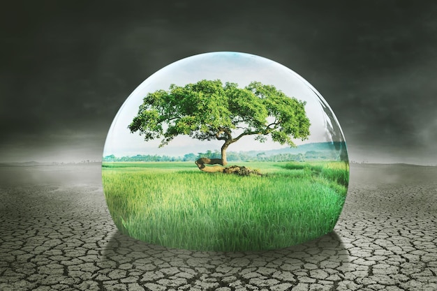 Drop of water with green trees on dried soil