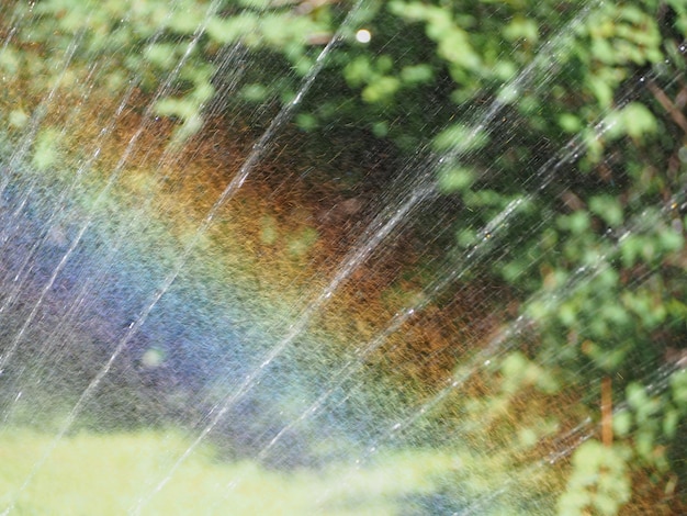 Gocce d'acqua dal dispositivo di irrigazione a pioggia