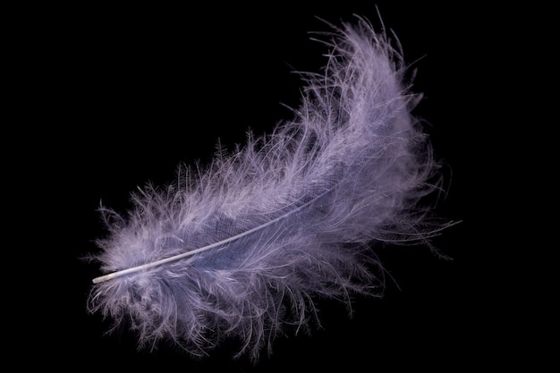 Drops of dew on colored feathers. abstract background closeup