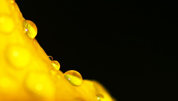 drops on leaf as the freshness background