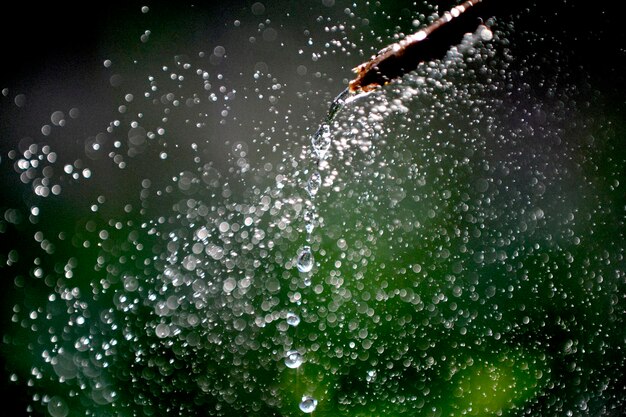 사진 녹색 여름 배경 위에 물방울이 날아다니고 있다