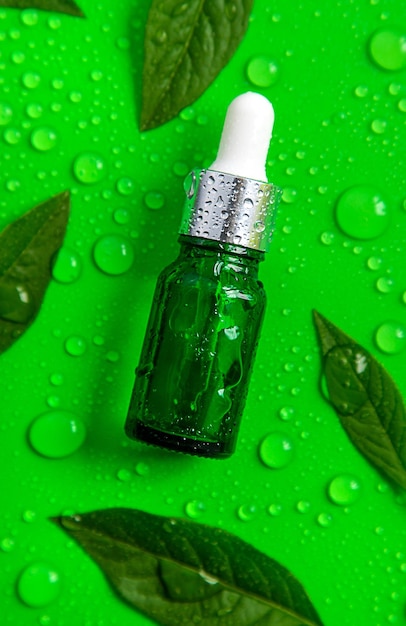 Drops of oil pipette on green leaves background Selective focus