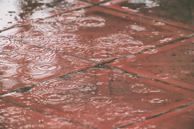 Drops and puddles during heavy rain