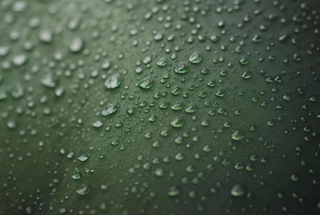 녹색 표면에 빗방울