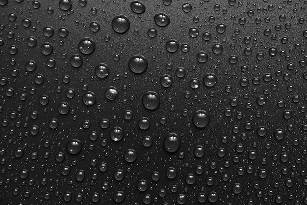 Foto gocce d'acqua su sfondo nero. gocce di texture foto macro.