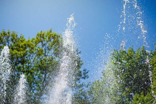 Gocce di acqua fontana