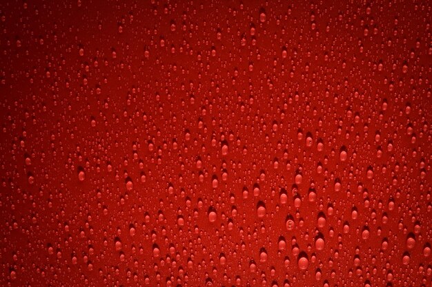 Photo drops of water on red and black surface. macro photo, drop, shadow plastic base.