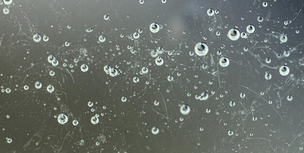 Photo drops of water on a window with a spider web