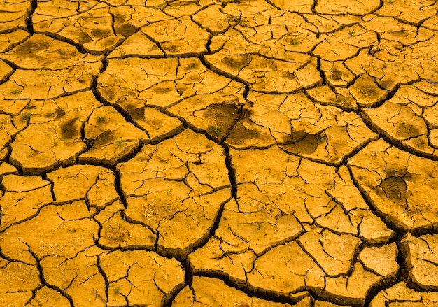 Drought. Backgrounds