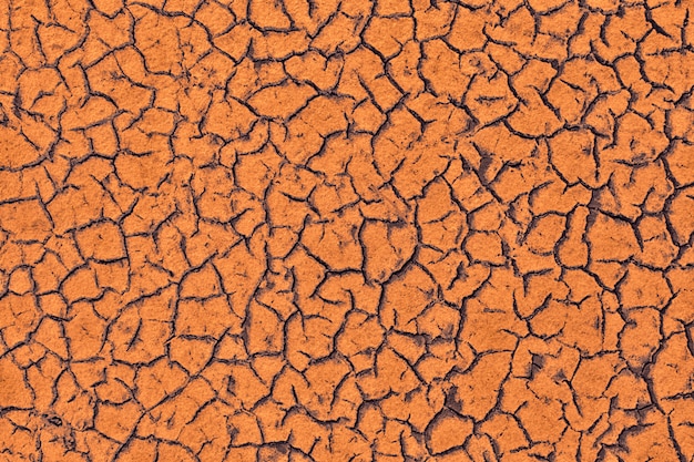 Drought-dried earth to cracks.