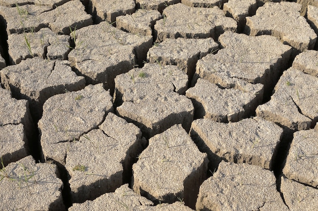 Drought. dry soil, the ground is covered with the texture of cracks . close-up, top view.