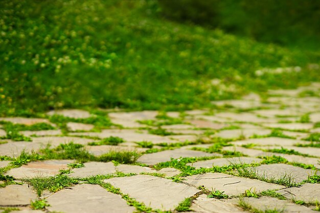 Drought ground landscape background hd