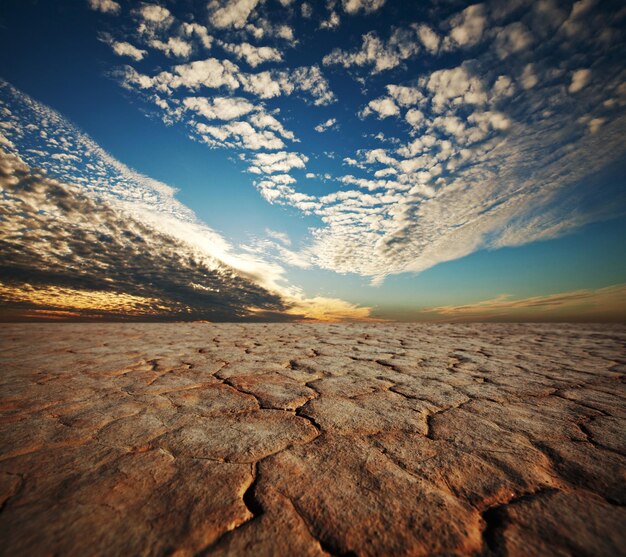 Foto terra di siccità