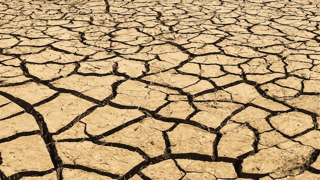 Foto terreni in siccità