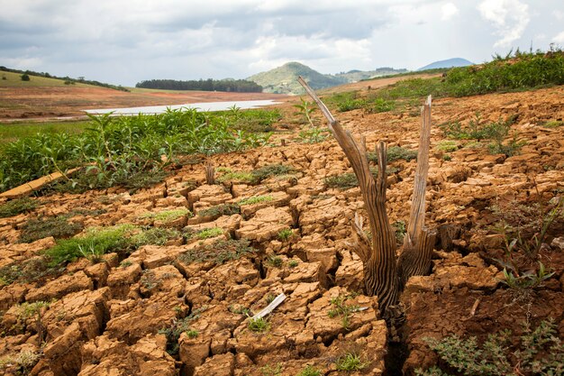 Drought soil in brazilian cantareira dam