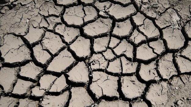 drought texture background