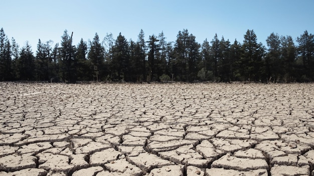 drought texture background