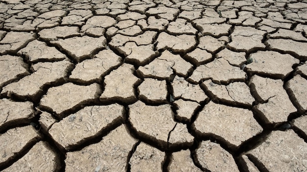 drought texture background