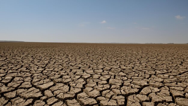 Foto sfondo di trama di siccità