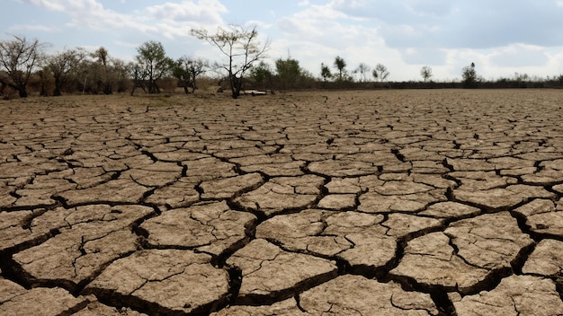 drought texture background