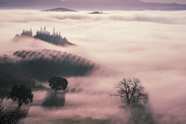 Foto annegato nella nebbia