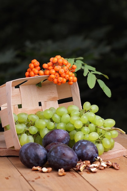 Druiven, pruimen en lijsterbes in een mand op een onscherpe achtergrond Groep gezonde herfst kleurrijke vruchten in een houten mand op een houten tafel