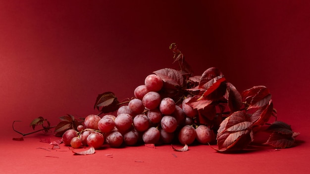 druivenbladeren en een tros rijpe rode druiven op een rode achtergrond