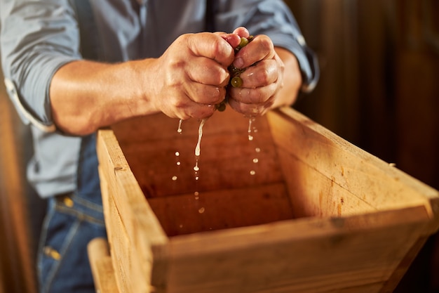 druivensap druipt uit de handen van een wijnmaker tijdens het pletproces