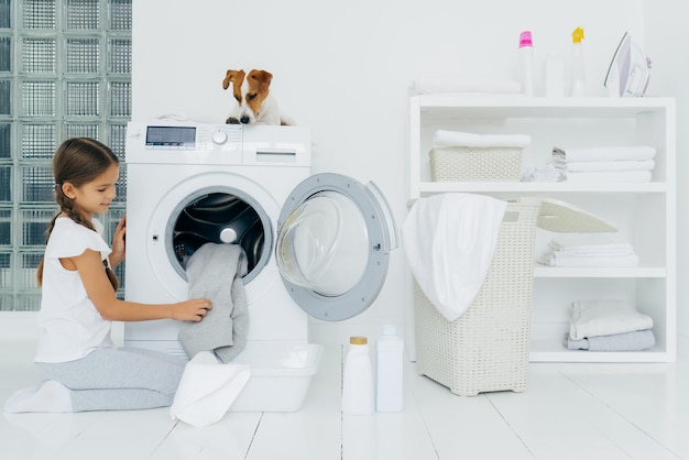 Drukke kleine mooie meid doet de was thuis poseert op knieën in de buurt van wasmachine gebruikt vloeibaar poeder stamboomhond bovenop wasmachine kijkt naar kleine vrouwelijke gastheer gezinshoofd Huishoudconcept