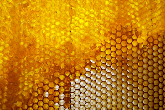 Druppel bijenhoningdruppel van zeshoekige honingraten gevuld met gouden nectar Honingraten zomersamenstelling bestaande uit druppel natuurlijke honingdruppel op wasframe bij Druppel bijenhoningdruppel in honingraten