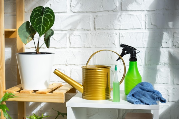 Foto druppelbemesting voor potplanten stimulator van ontwikkeling groeiversnelling plantenverzorging thuis een fles vloeistof wordt in de grond in een pot gestoken thuisteeltproductie