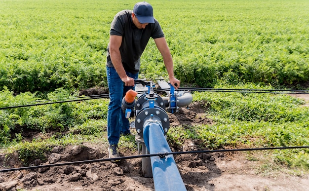 Druppelirrigatiesysteem. Waterbesparend druppelirrigatiesysteem dat wordt gebruikt in een jong wortelgebied. Werknemer opent de kraan