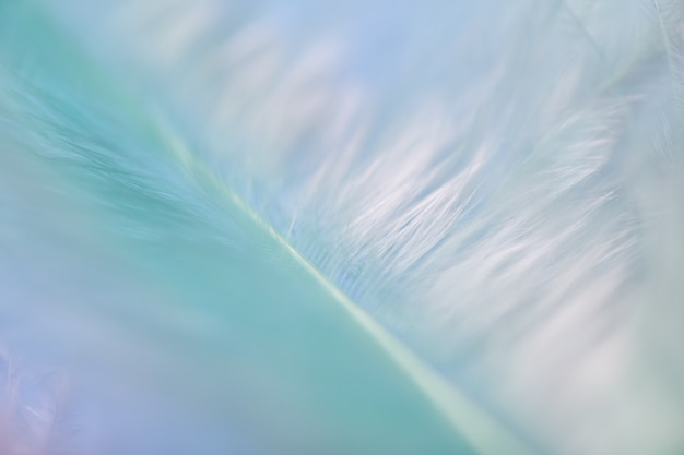 Foto druppels dauw op gekleurde veren. abstracte achtergrond close-up